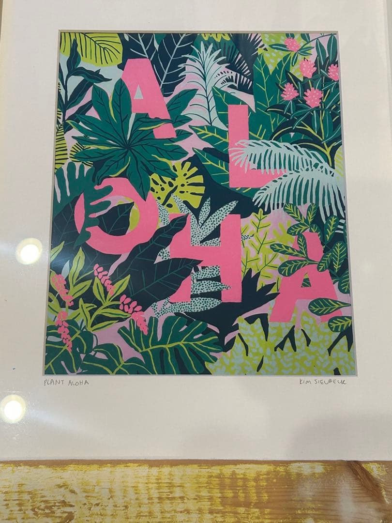 〈Kim Sielbeck 〉Plant Aloha アート
