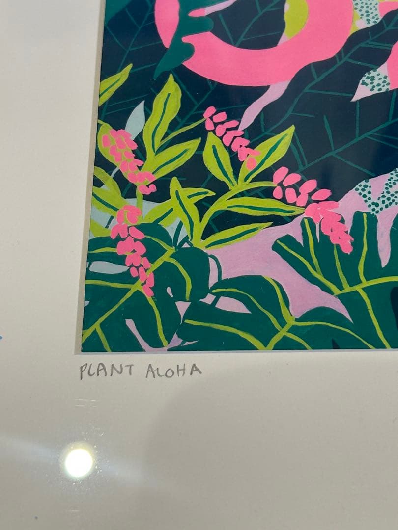 〈Kim Sielbeck 〉Plant Aloha アート
