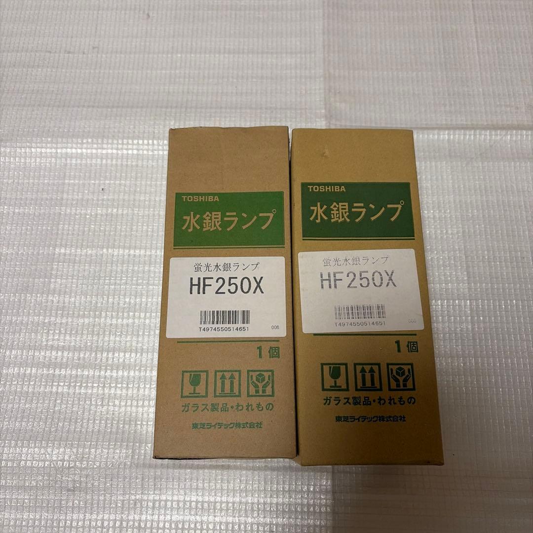 ユキ@さま専用　　TOSHIBA 水銀ランプ HF250X 2個セット