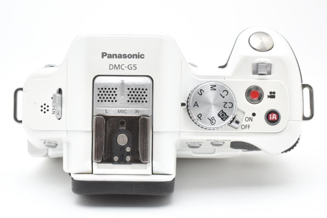 ★難あり品★パナソニック ルミックス DMC-G5 ボディ #21320
