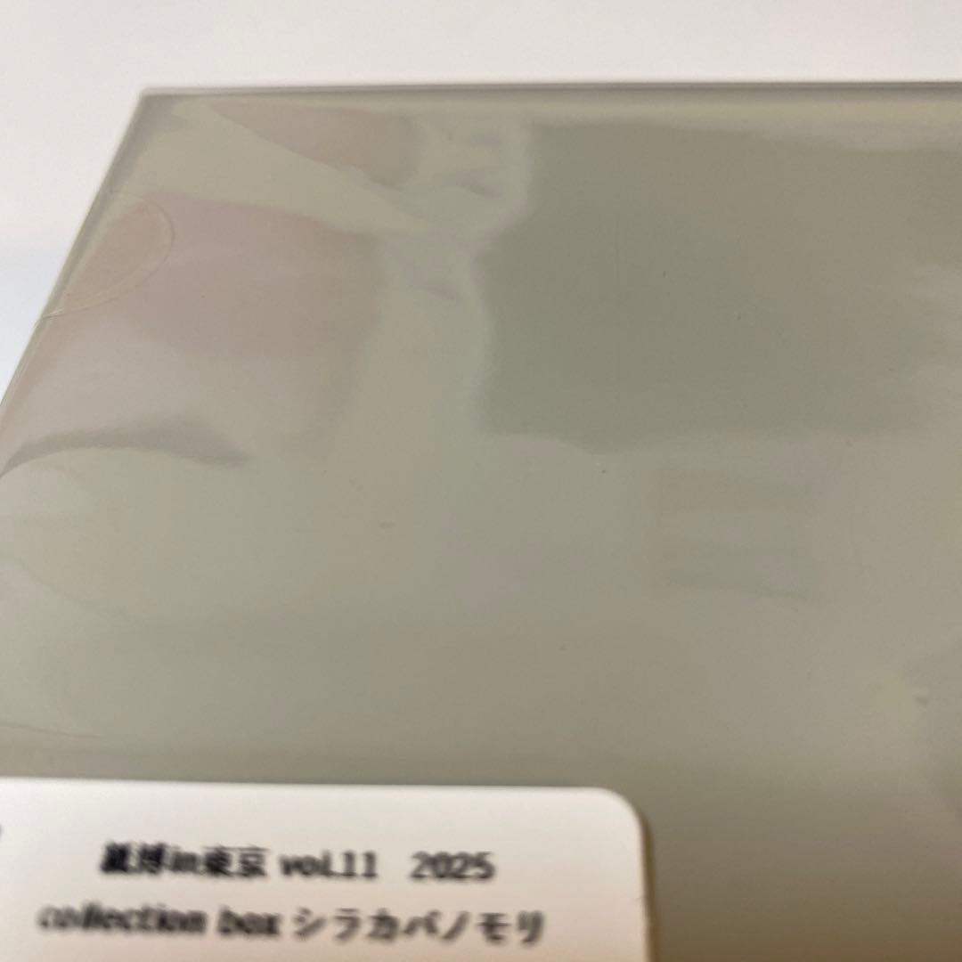 【紙博in東京vol.11 2025】ヨハクコレクションボックス シラカバノモリ