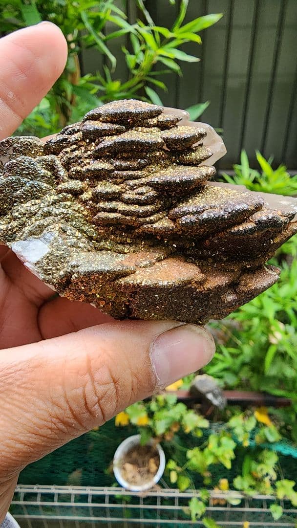 黄銅鉱パゴダカルサイト