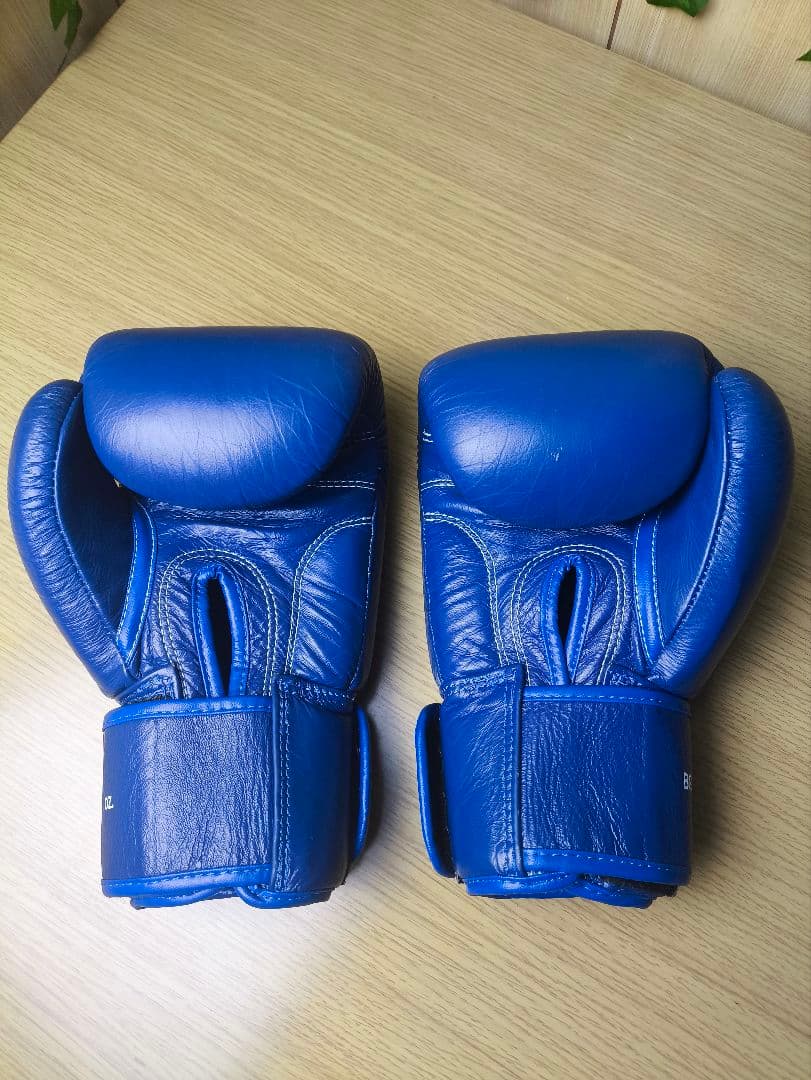 WINDY ウィンディ ボクシンググローブ12oz レガースM 青