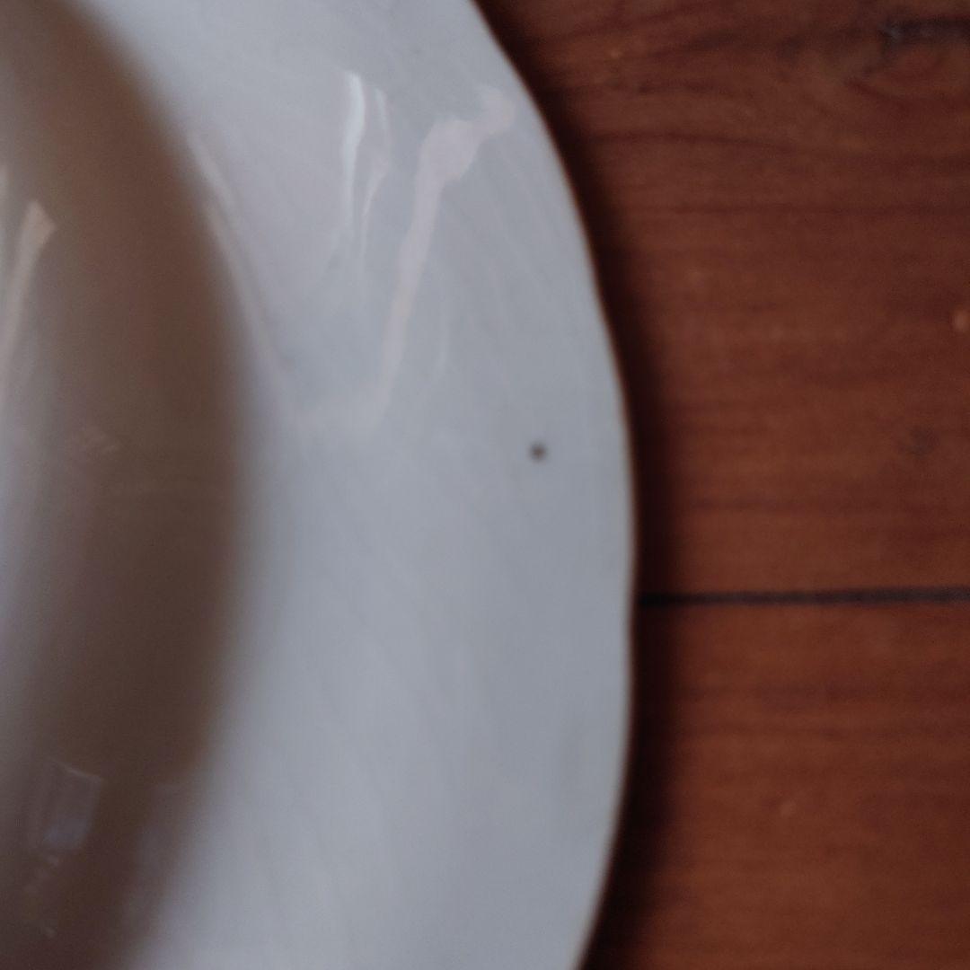 フランスアンティークGIENプレート