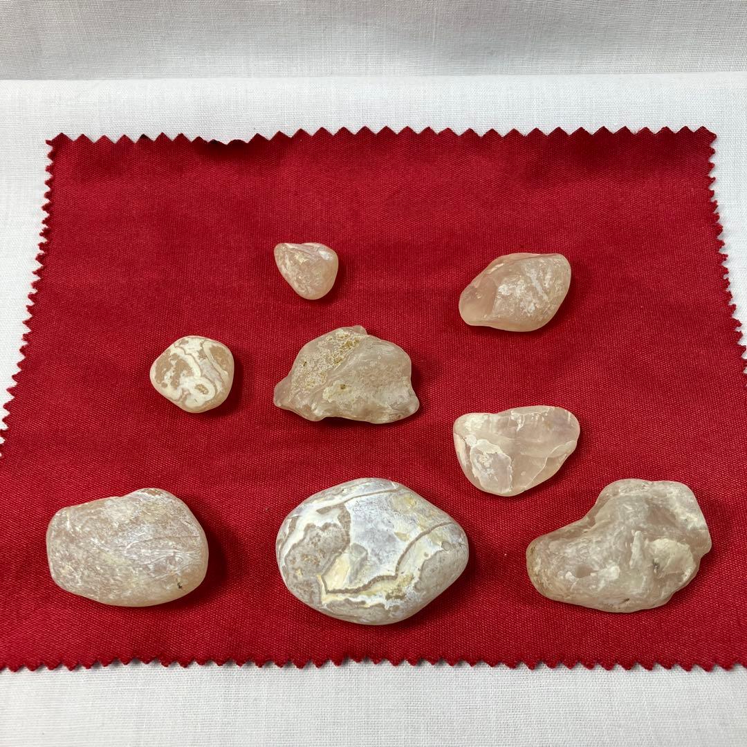 ネパール産のアンモナイト