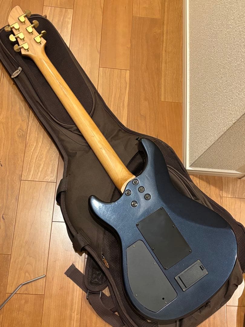 s*n様 FERNANDES APG-85S／フェルナンデス／サスティナー／エレ