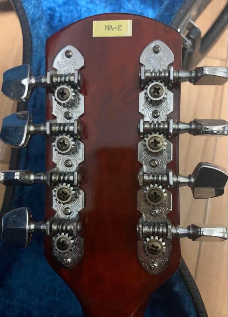Samick エレキマンドリン 専用ハードケース付き