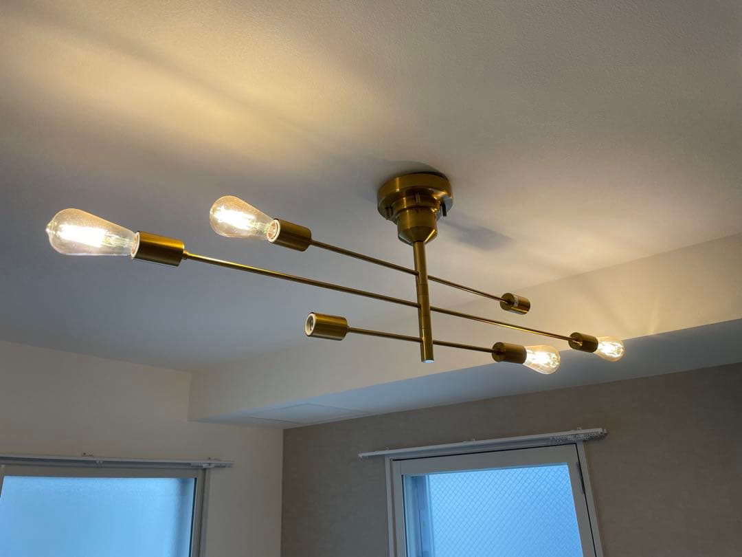 Astre unico別注カラー シーリングライト ウニコ