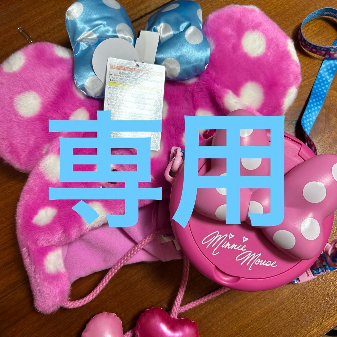 専用！パルパルーザ ミニー ポップコーンバケット スナックケース　2点セット