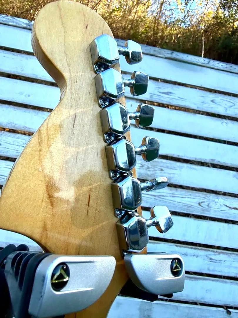 ギター Fresher STRAIGHTER FS-331