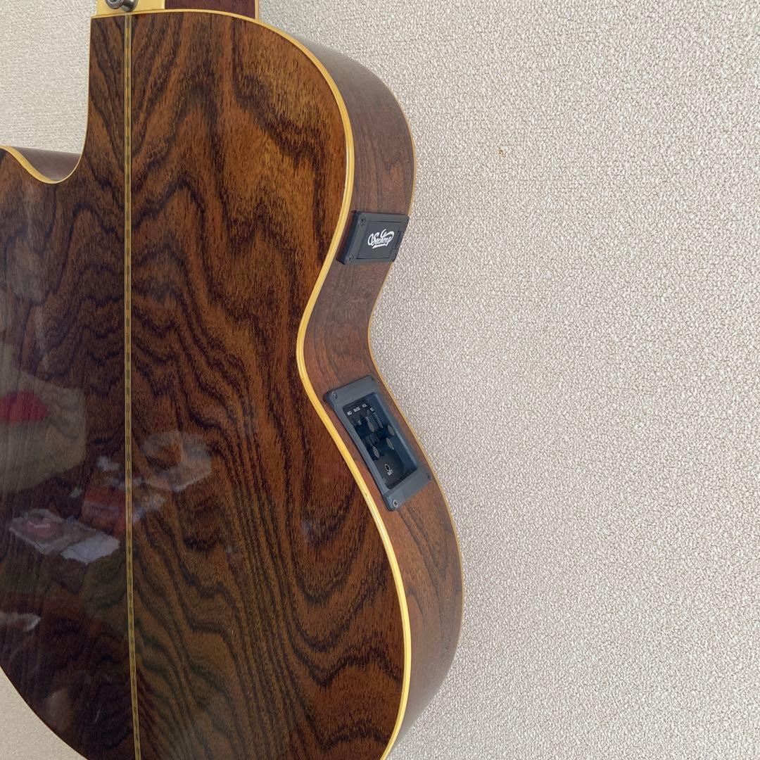 Sechong アコースティックギター EA-430CS サンバースト