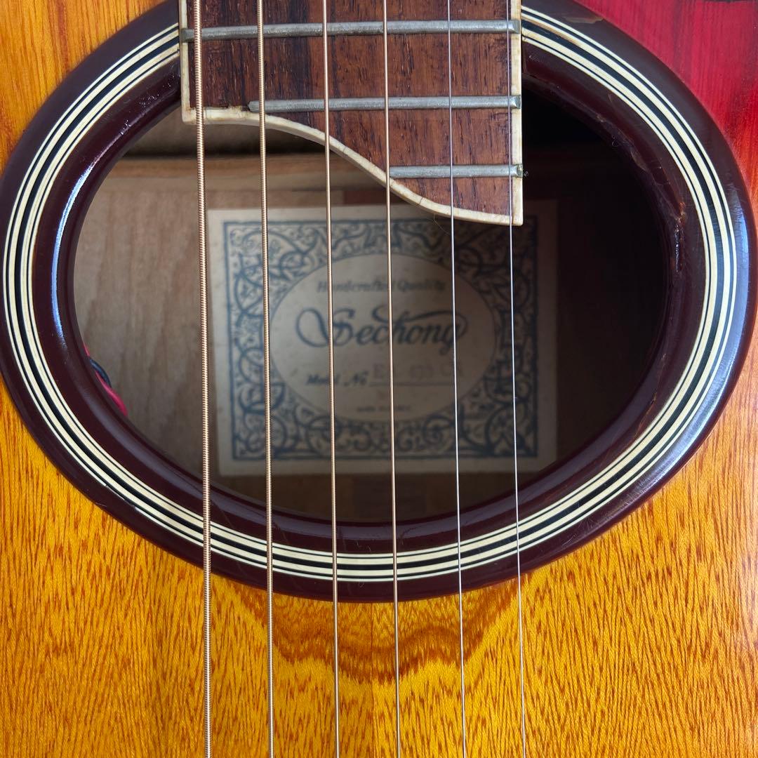 Sechong アコースティックギター EA-430CS サンバースト