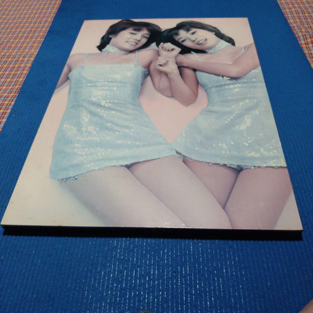 ピンクレディカラー40センチ✕56センチ