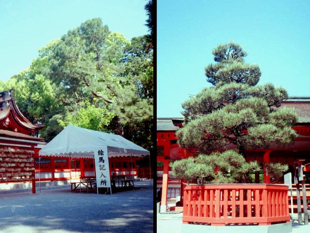 OLYMPUS PEN EE-2【実写済みの動作品です】