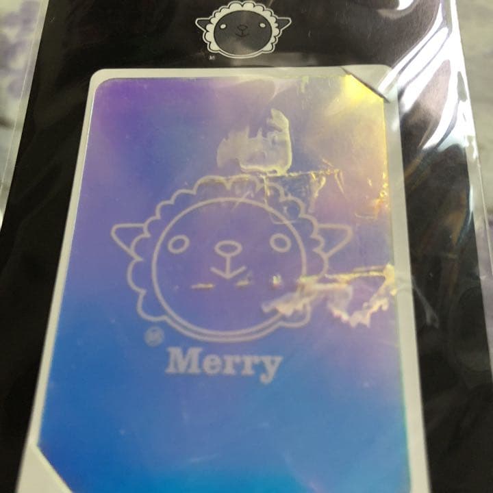 MERRY (メリー) ライブ グッズ