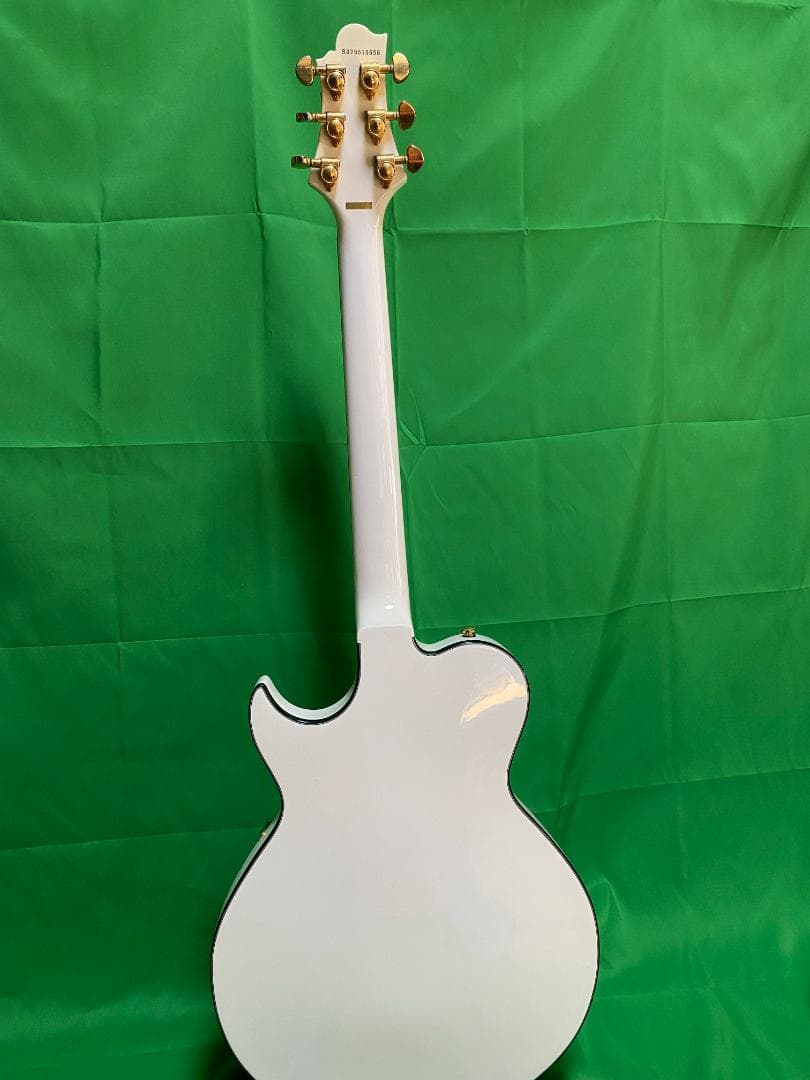 Greg Bennett RL4LTD White　セミアコ