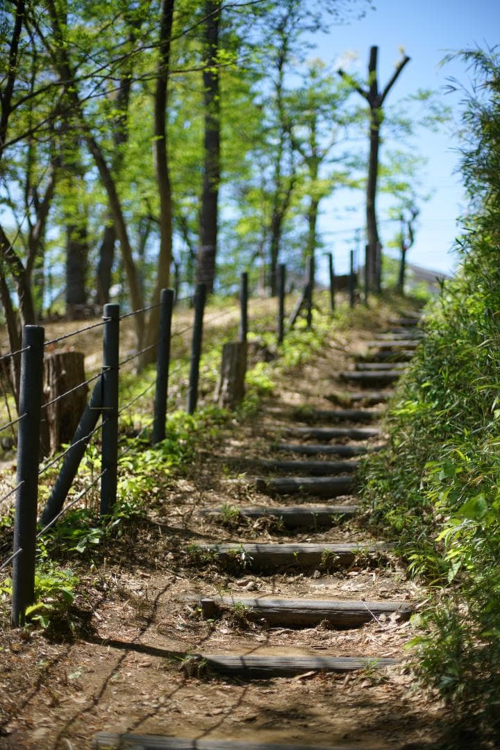 Nikon New nikkor 50mm f1.4 ai改