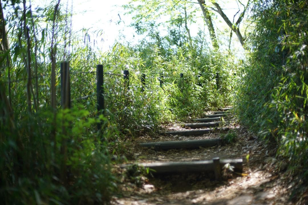 Nikon New nikkor 50mm f1.4 ai改