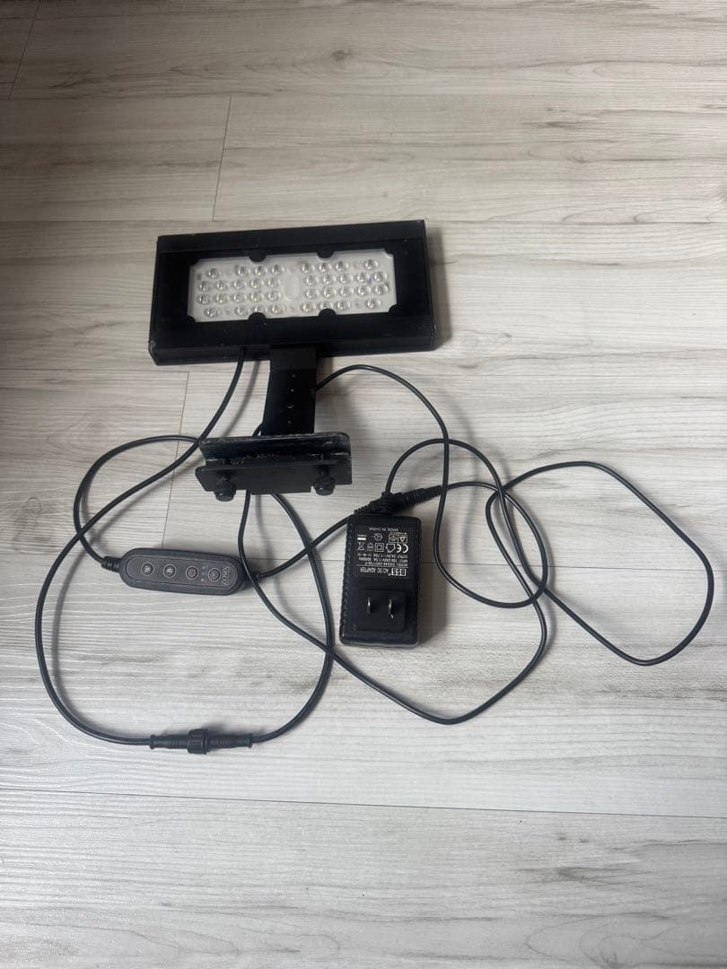 やっちゃん　Shell 水槽