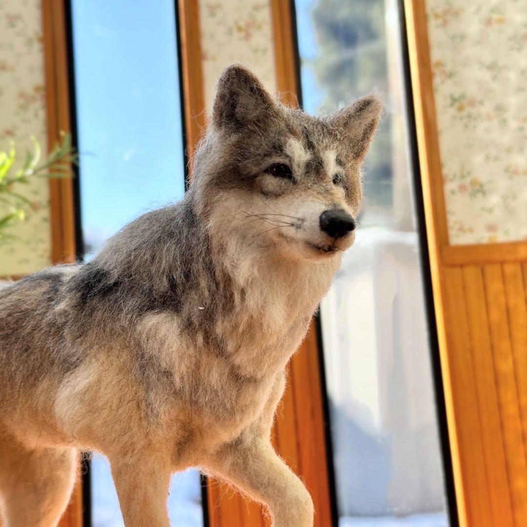 【羊毛フェルト オオカミ 狼 】 ドールハウス 1/6 置物