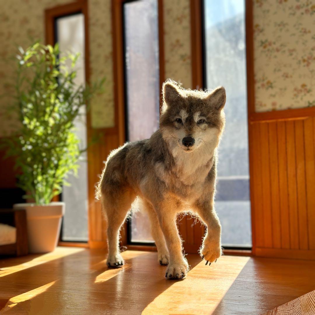 【羊毛フェルト オオカミ 狼 】 ドールハウス 1/6 置物