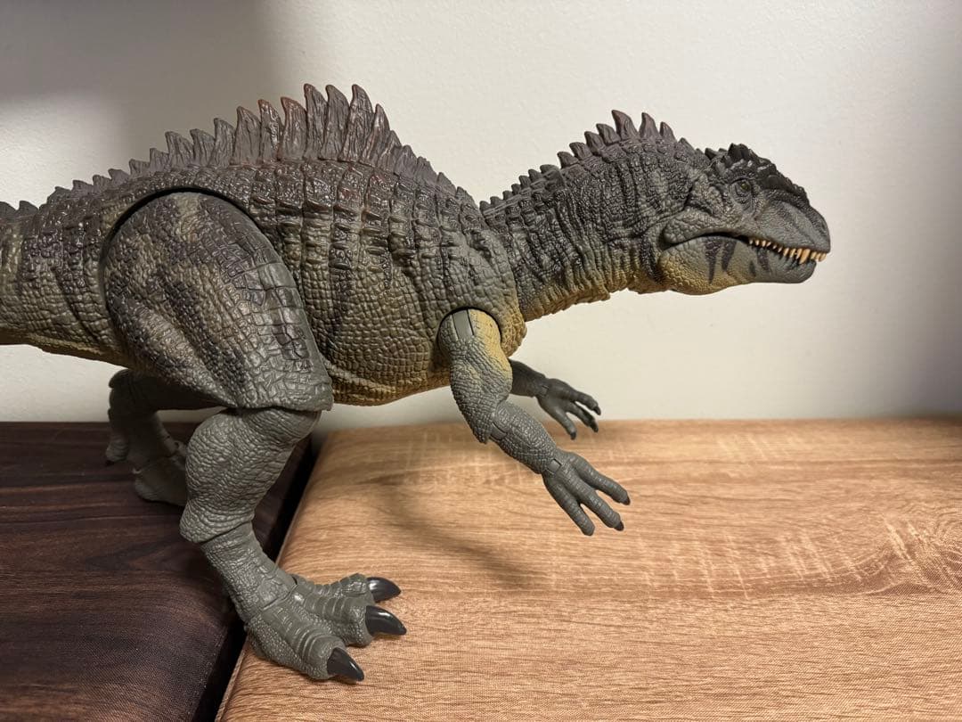 ハモンドコレクション　ギガノトサウルス