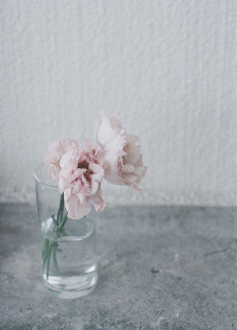 OLYMPUS OM-1 F.ZUIKO 50mm F1.8 フィルムカメラ