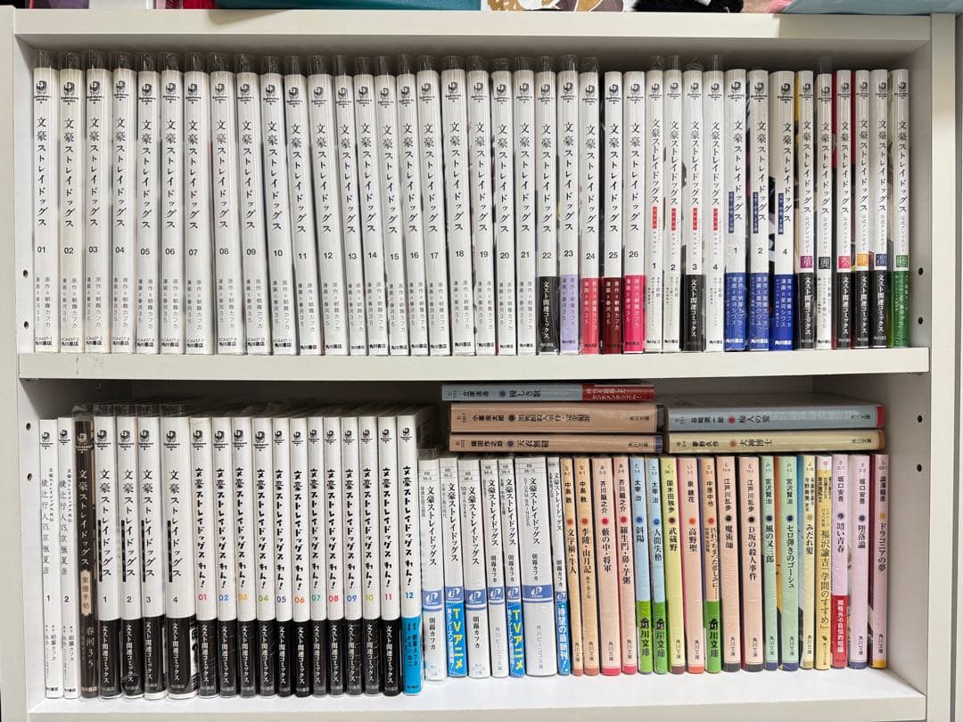 ラフィンコフィンページ