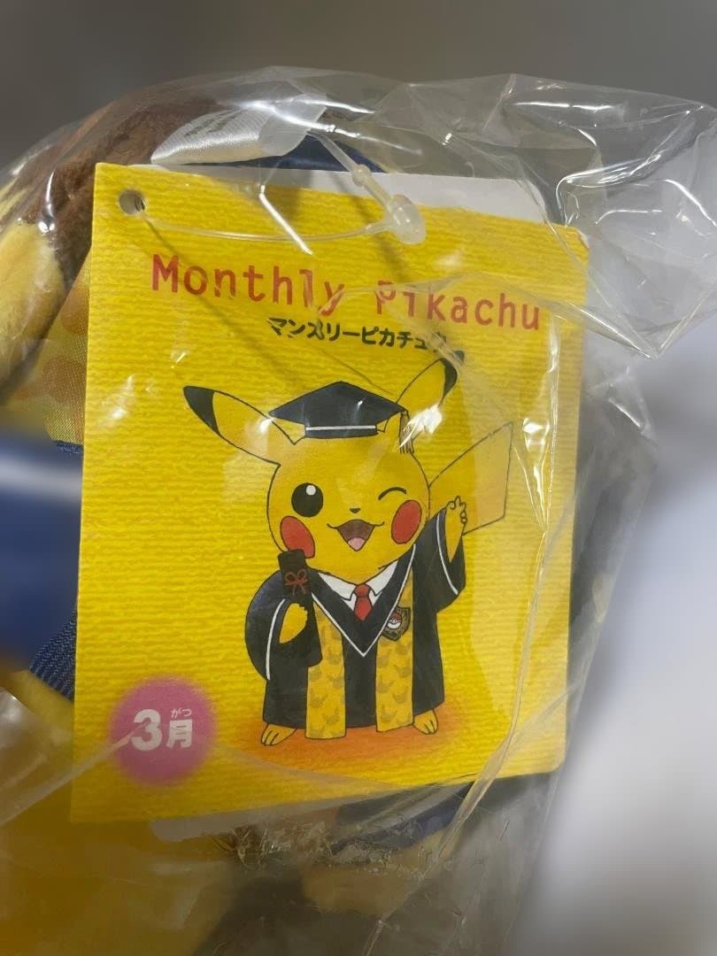 ポケモン ぬいぐるみ マンスリーピカチュウ 2016年3月 卒業式