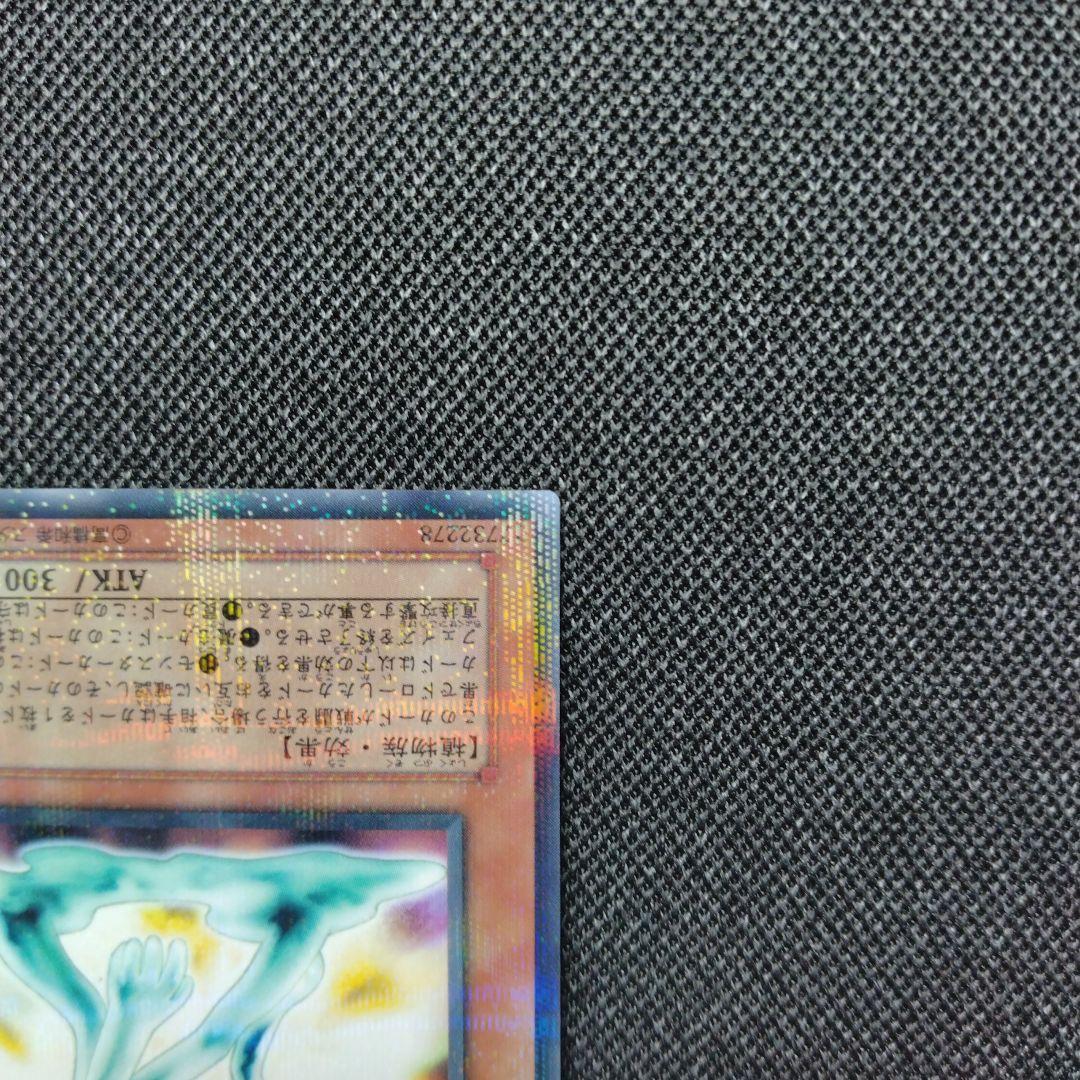 N グローモス パラレル ノーパラ