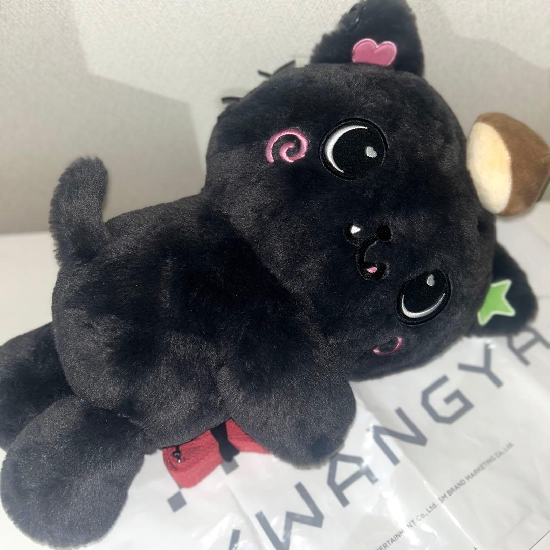 nctwish クリ ペンライトバッグ