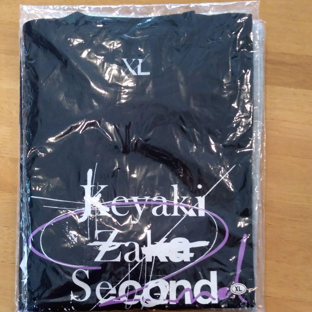 欅坂46 Tシャツ3枚セット 平手友梨奈 櫻坂46 日向坂46 forガチファン