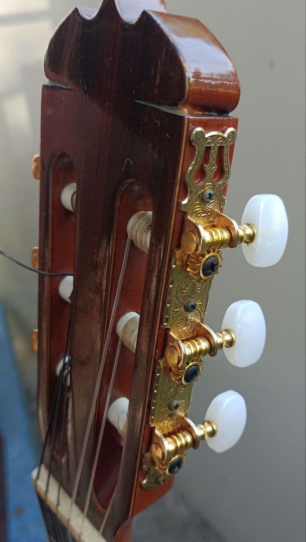 ギター Ryouji Matsuoka M30A