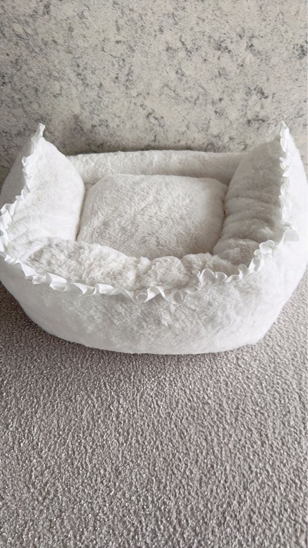 ルイスドッグ　Louisdog ベッド【Petit】