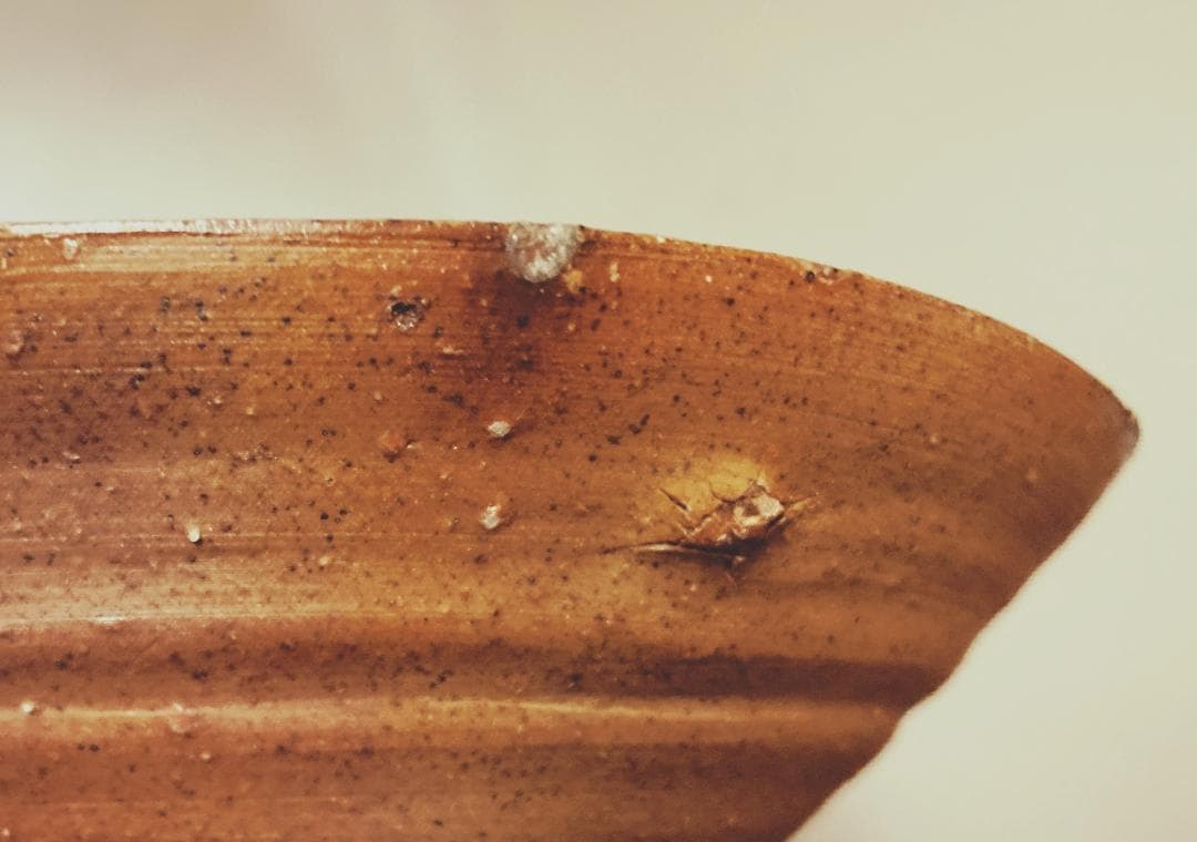 【値下げ】 木村桃山 備前焼 茶碗 【真作保証】