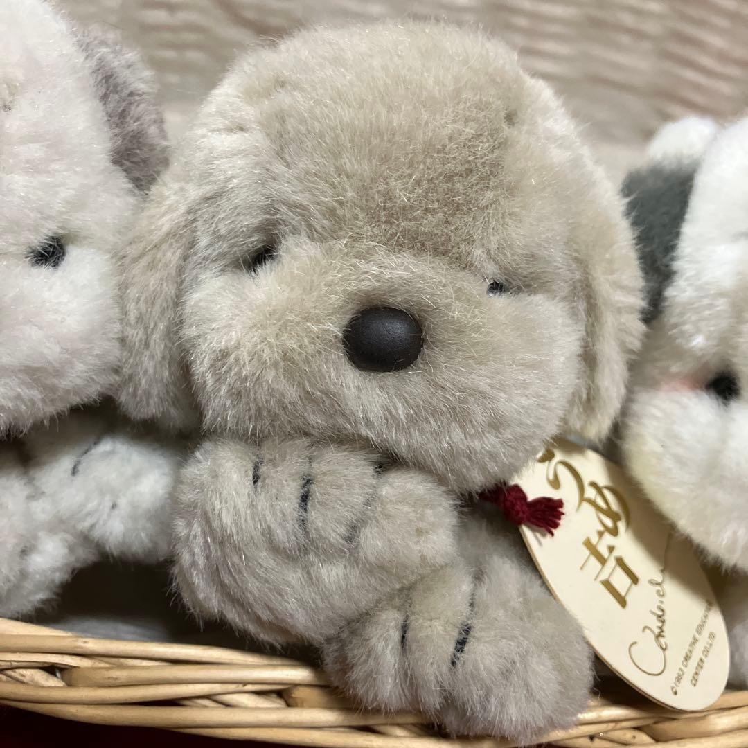 うめ吉　ぬいぐるみ　寝そべり　3体セット　中島潔　ぬいぐるみ犬　子犬