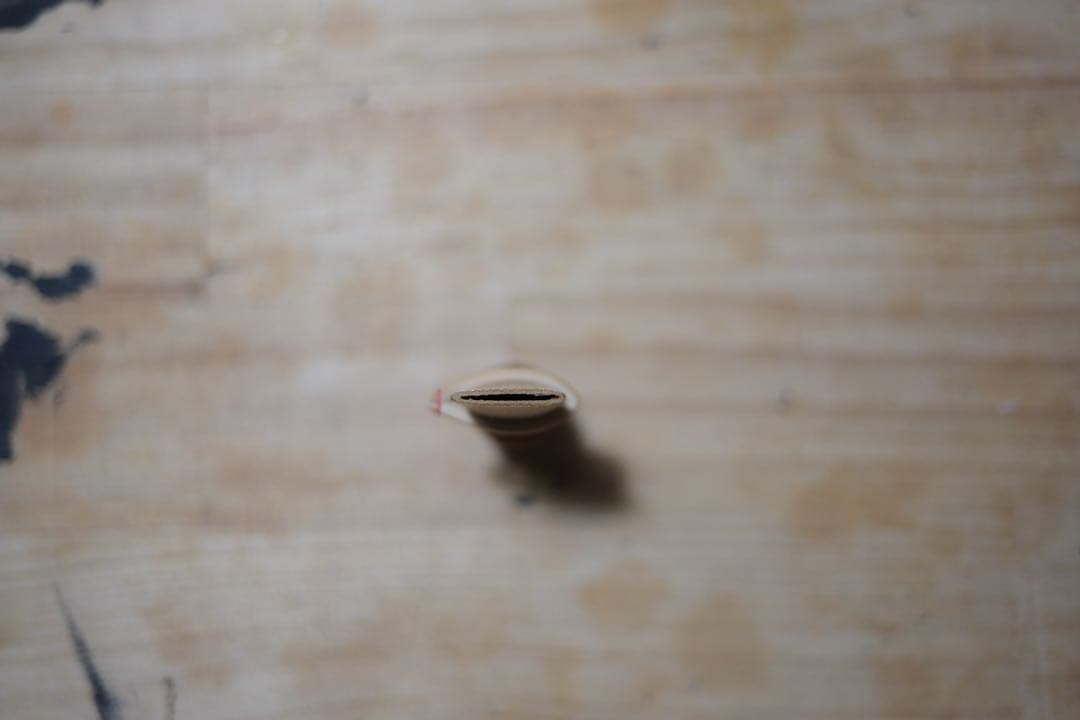 篳篥リード（盧舌）