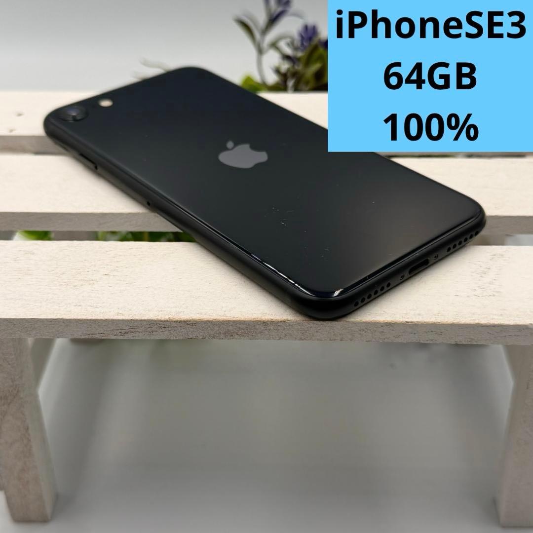 【美品】iPhone SE第3世代 64GB ミッドナイト 337