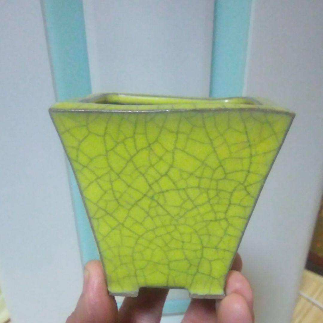 ミニ鉢、盆栽鉢、盆栽小鉢、鉢、植木鉢、山野草鉢、盆栽