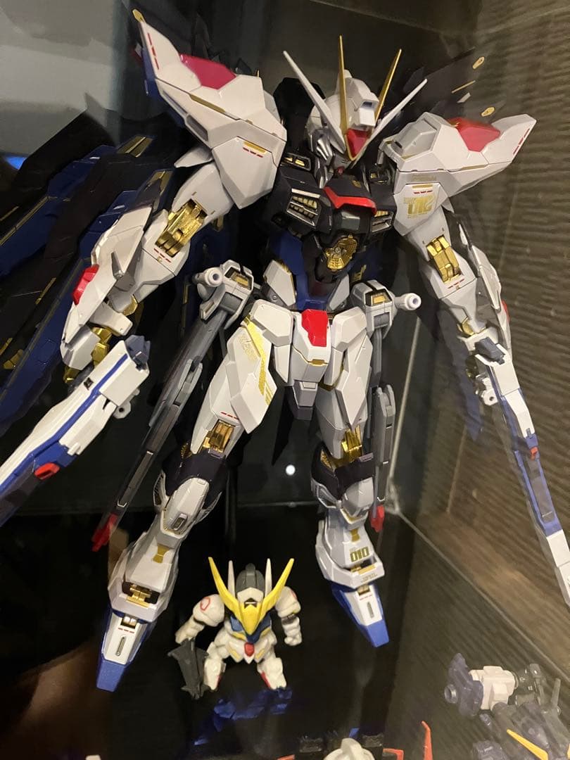 メタルビルド　ストライクフリーダムガンダム　2024 開封済み