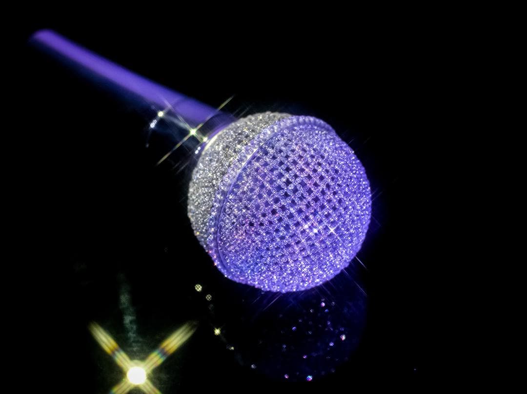 X'MAS SALE 中島美嘉 SHURE SM58 スワロ ジルコニア