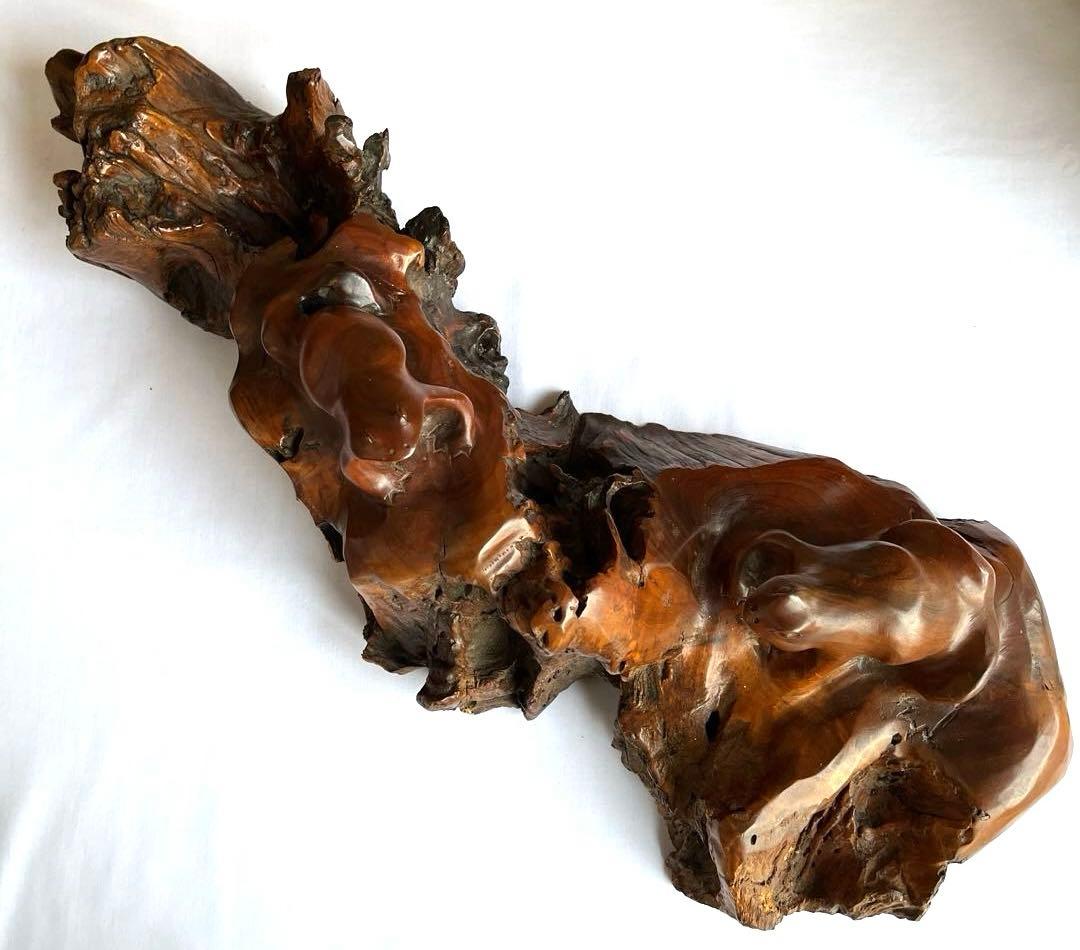 天然木　カエルの彫刻　流木　インテリア装飾　彫刻　美術品　骨董　幅60㎝　カエル