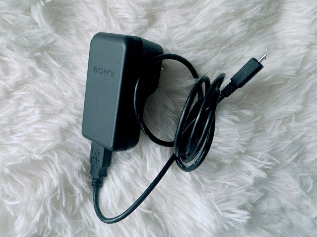 【極美品！】SONY RX100 初代