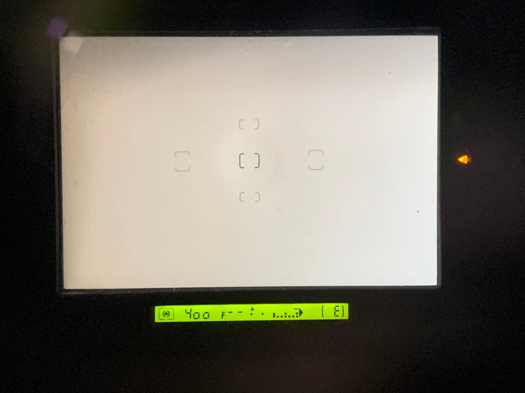 フィルムカメラ NIKON F5