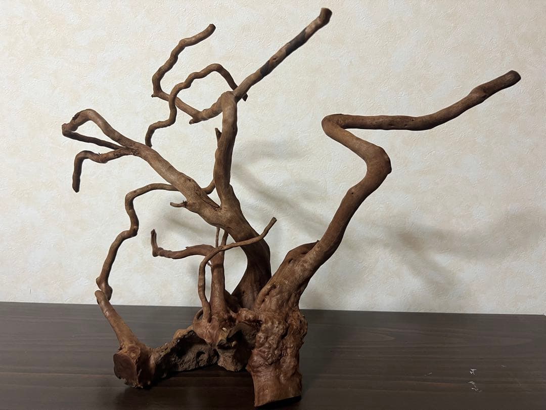 61103 ブランチウッド　流木　アクアリウム　沈水確認済