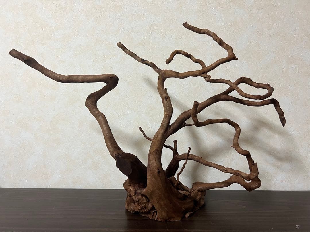 61103 ブランチウッド　流木　アクアリウム　沈水確認済