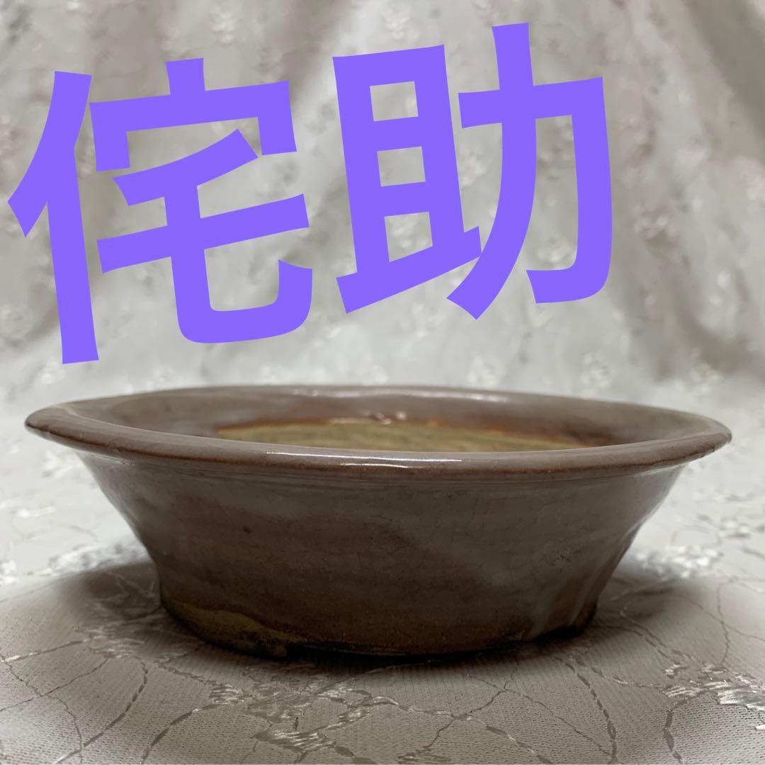 侘助　丸　浅め　盆栽鉢