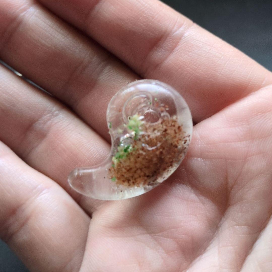 L’ e c☆です。