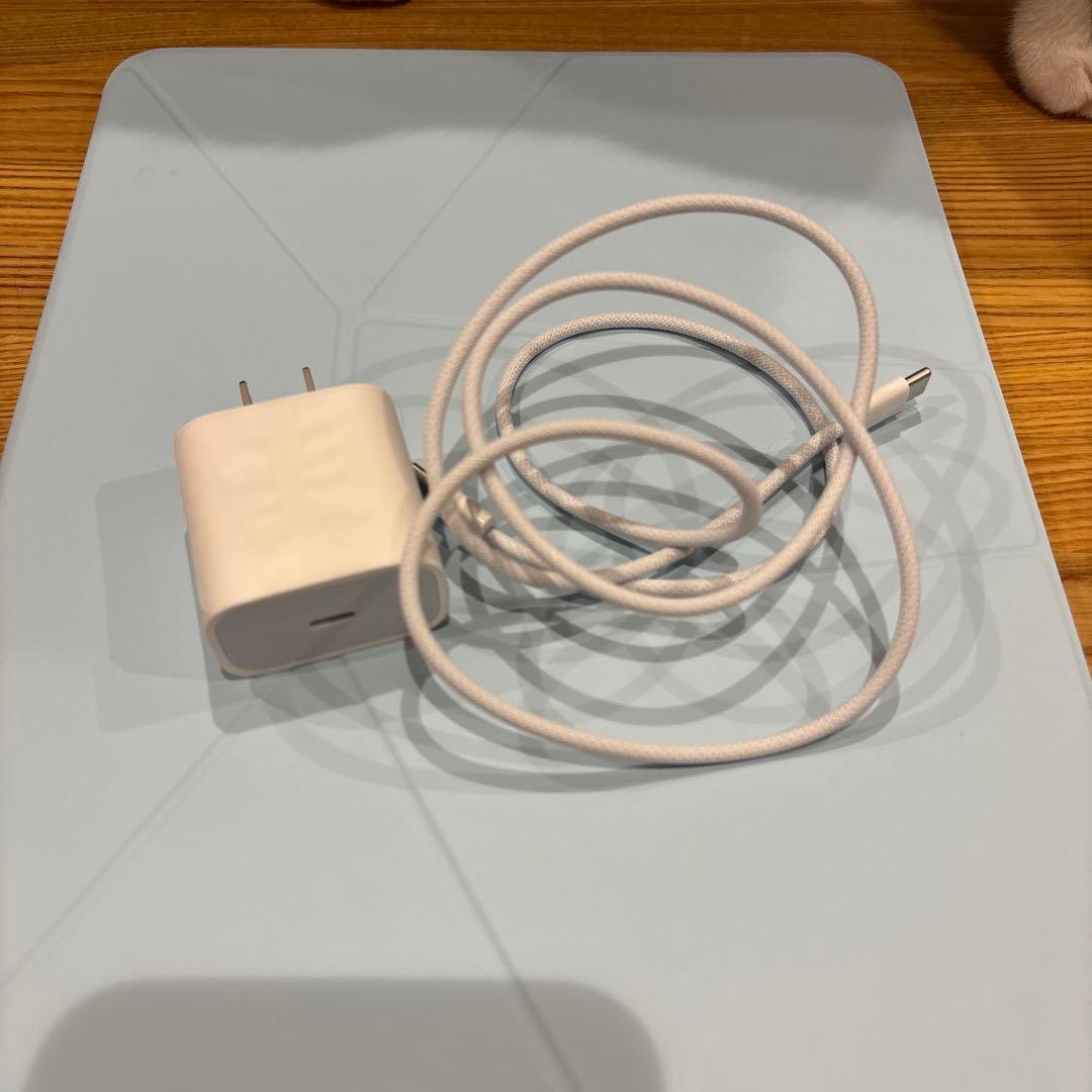 箱無し13インチiPad Pro Wi-Fiモデル 1TB（標準ガラス)