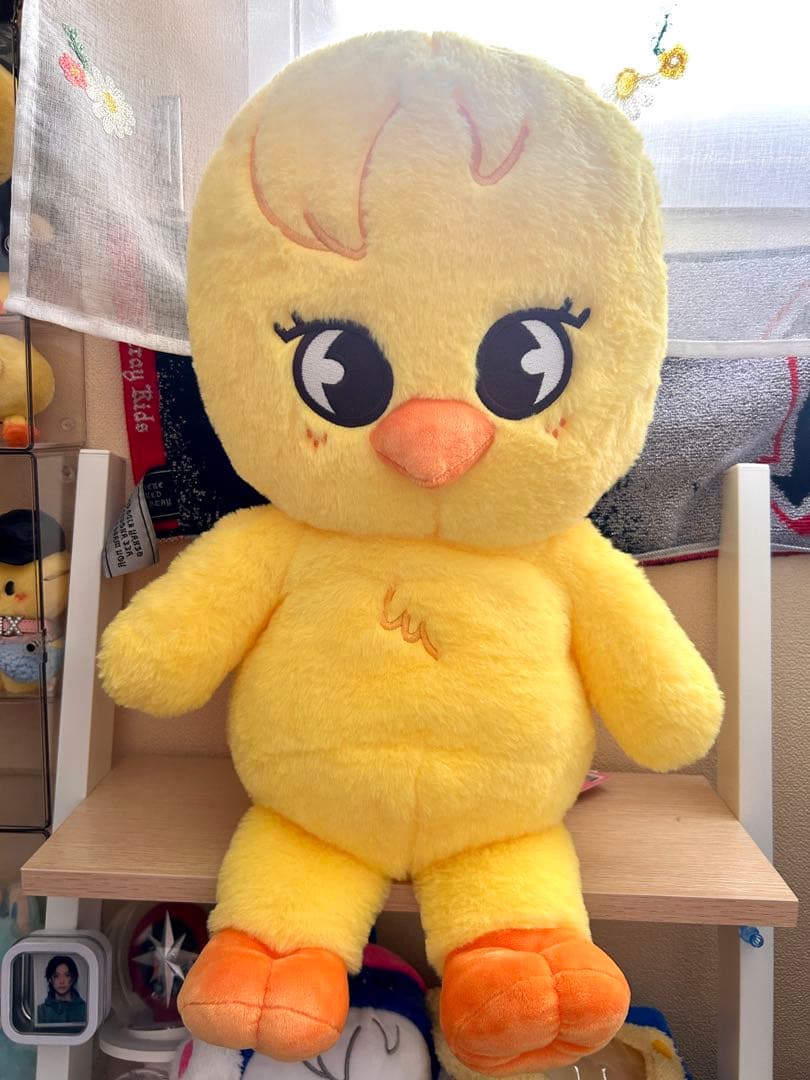 Stray kids テディベア ポガリ Bbokari 5clock